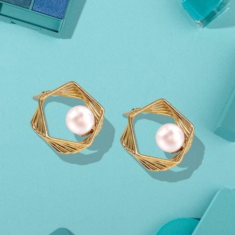 Sleek & stylish earrings