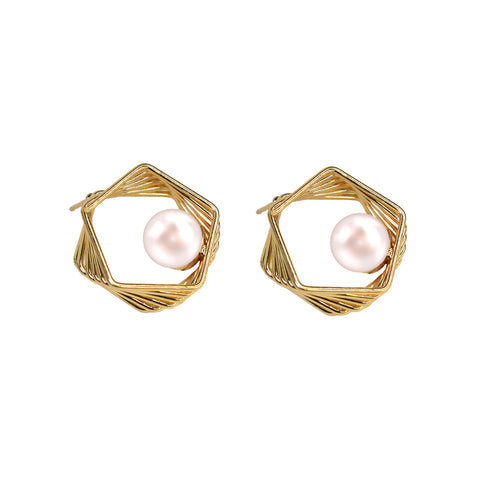 Sleek & stylish earrings