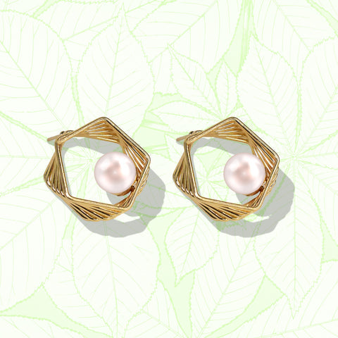Sleek & stylish earrings