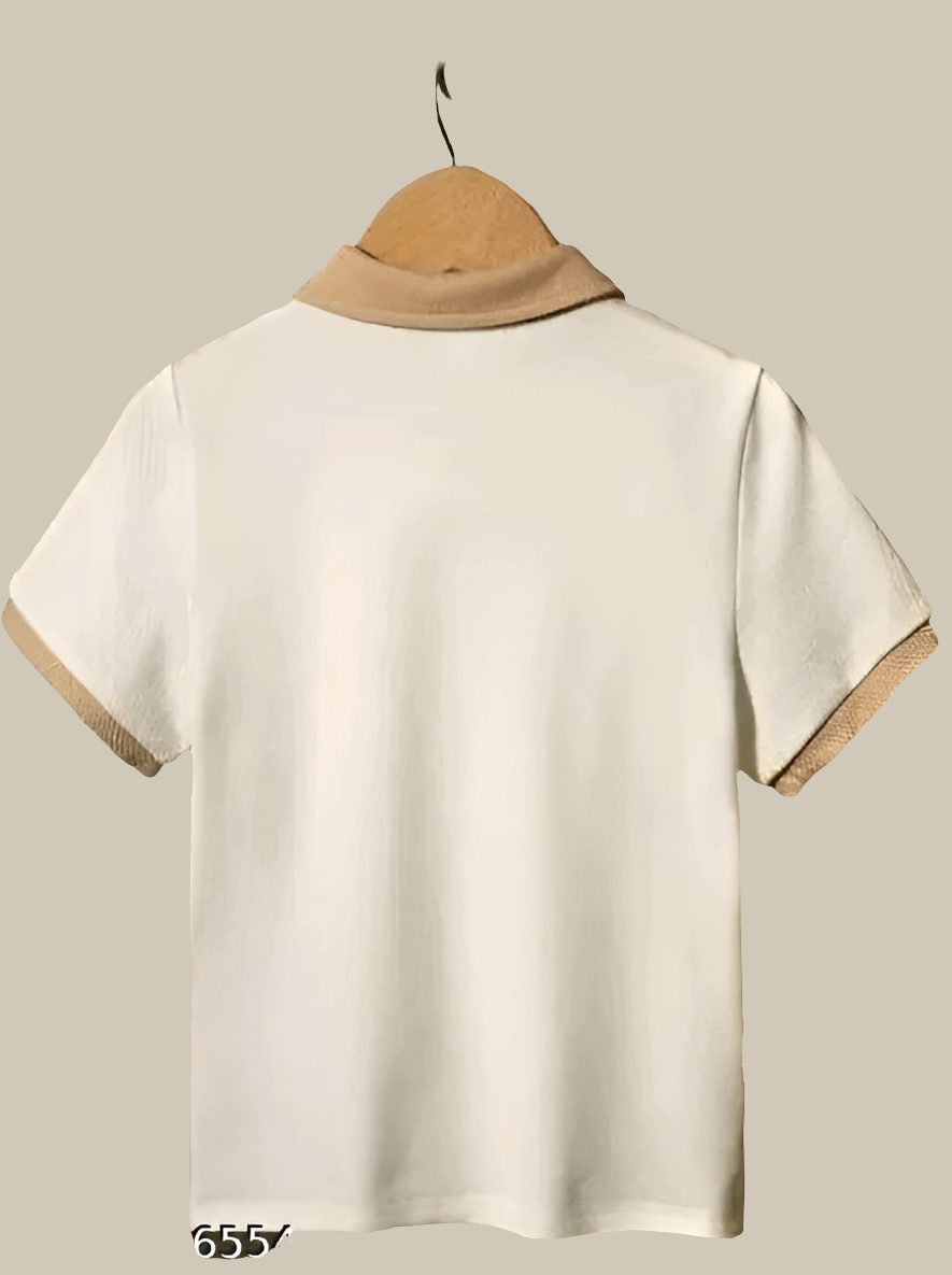 Men polo Half Sleeves tshirt